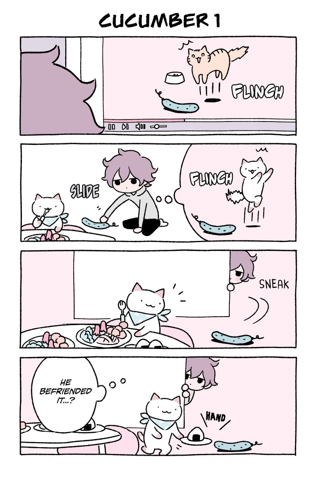 Wonder Cat Kyuu-chan Chapter 154 1